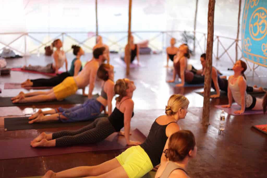 Yogamatte Test: Die besten 5 im Vergleich 8 Yogamatte Test: Die besten 5 im Vergleich 1