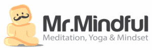 Retina Logo von Mr Mindful